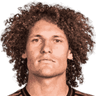 Wout Faes