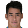 Sergio Araujo