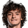 Gui Guedes