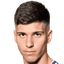 Milan Vukotic