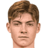 Nikola Cavlina 