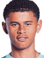 Lucca Brughmans
