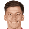 Luka Ilic