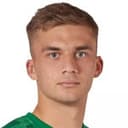 Artem Cheliadin