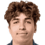 Mihai Lupan