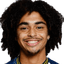 Tiago Araújo Brito