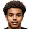 Yonis Lucien Alexandre Njoh