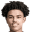 Shola Shoretire