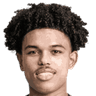 Shola Shoretire