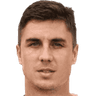 Nemanja Nikolic