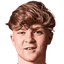 Harry Vaughan