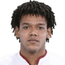 Romarinho