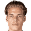 Joël van der Wilt