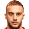 Vuk Strikovic
