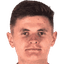 K. Dziedzic
