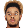 Willem Geubbels