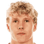 P. Lervik