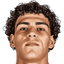 Guilherme Peixoto