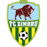 Zimbru