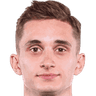 Dominik Plestil