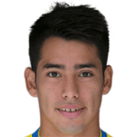 Sergio Araujo