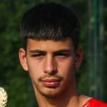 Nemanja Vidojevic