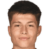 Esmir Bajraktarevic