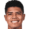 Wilder Cartagena